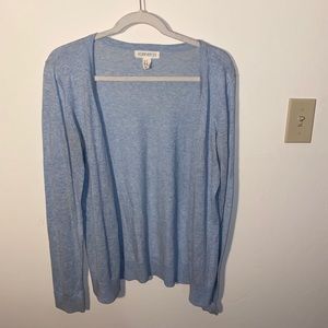 Blue Cardigan